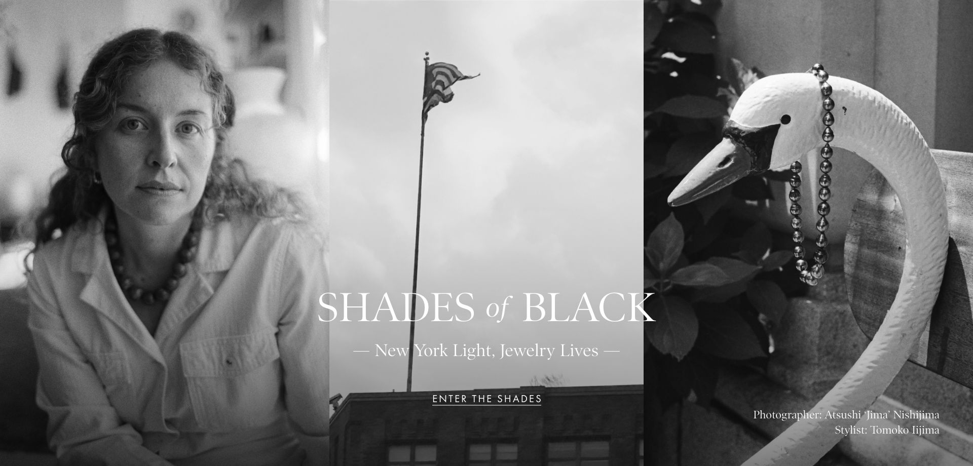 SHADES of BLACK