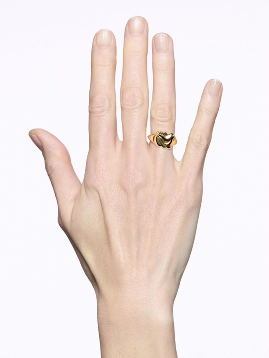 Fish Mini Signet Ring  - Yellow Gold